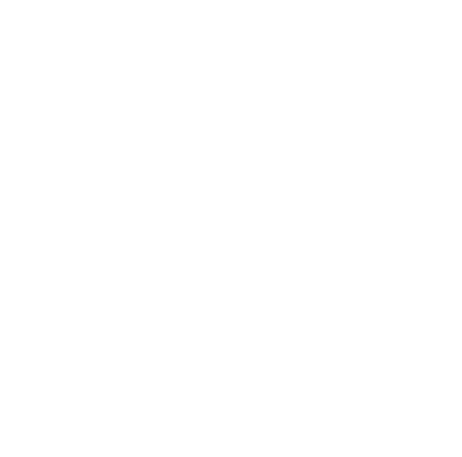 bricks icon